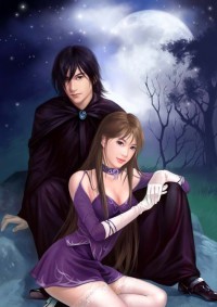 王婿葉凡