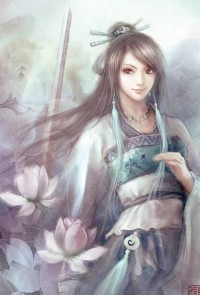 甲武传说